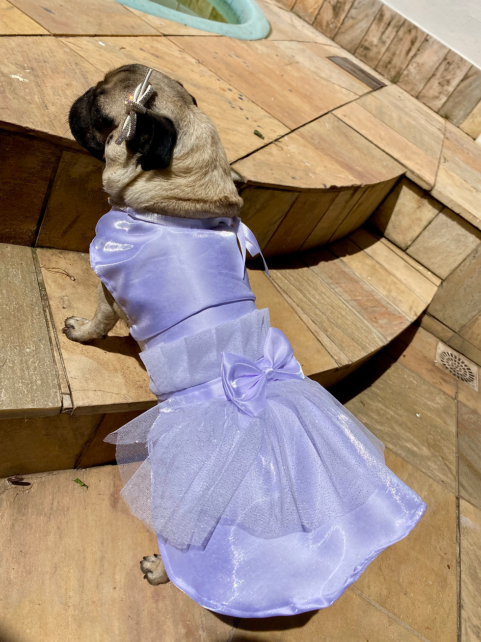 Miniatura: Vestido Glamour Celeste