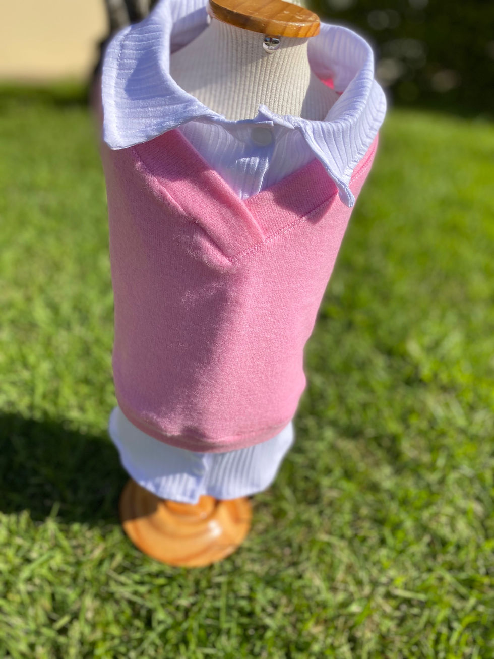 Miniatura: Camisete chic