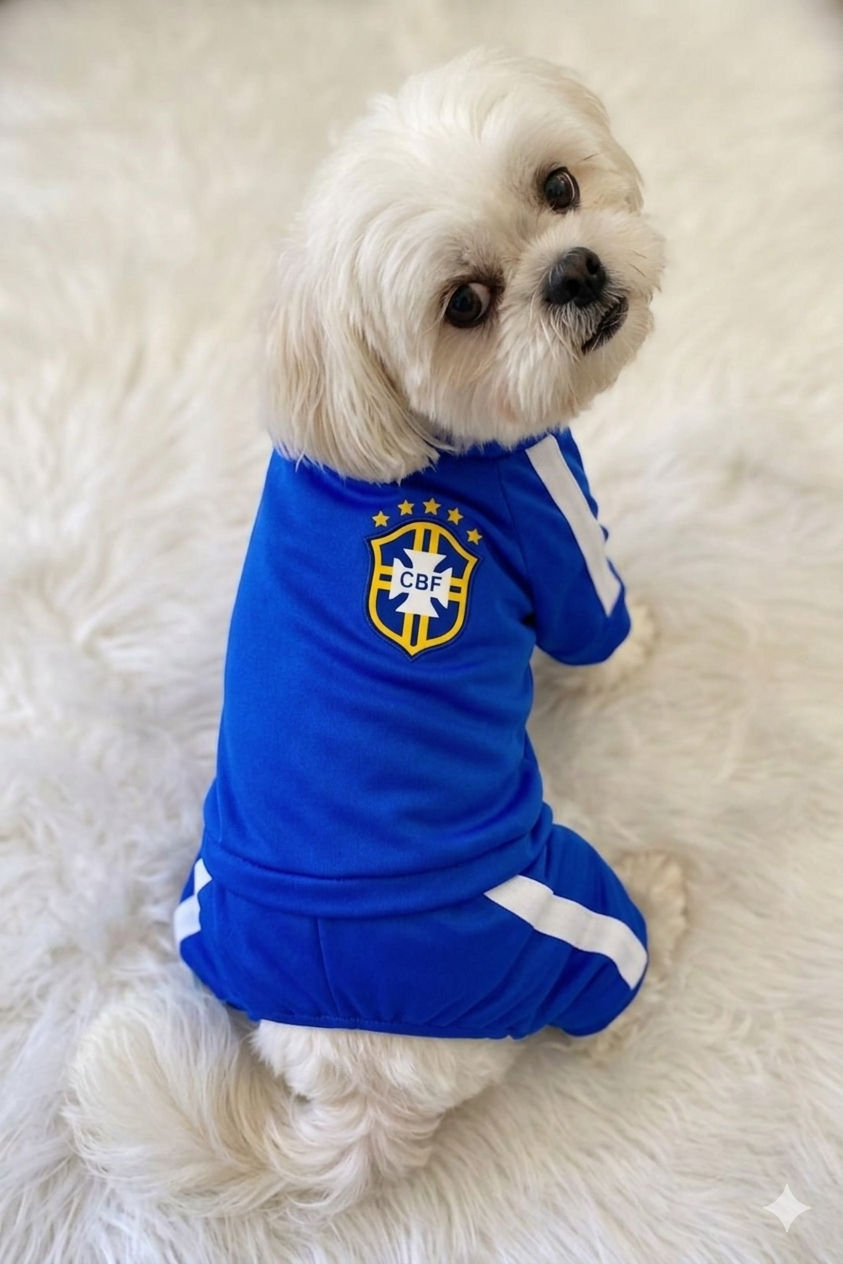 Agasalho esportivo CBF