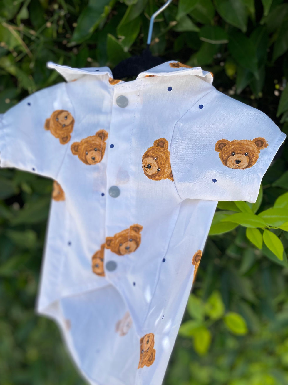 Miniatura: Camisa Ted II