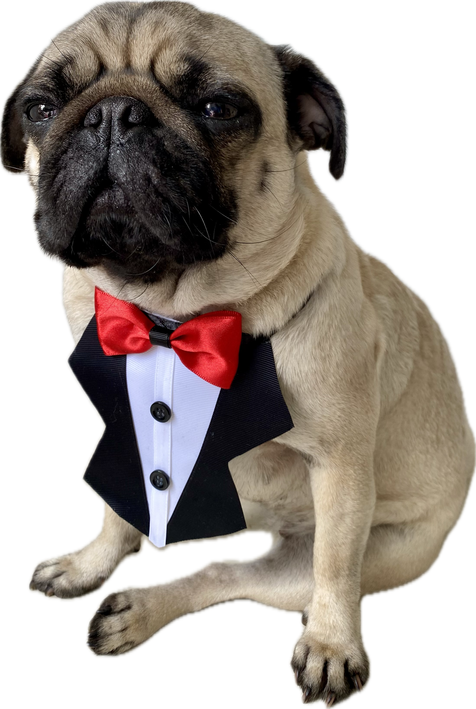 Gargantilha Smooking