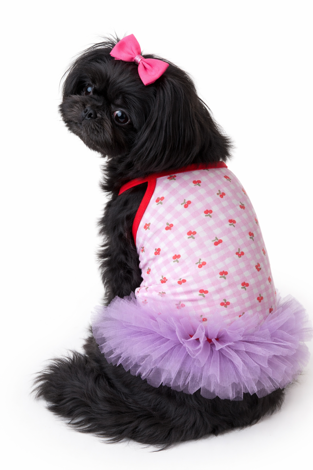 Regata tutu Cerejinha 