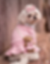 IMG_5238.png