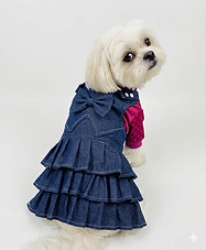 IMG_2208.png