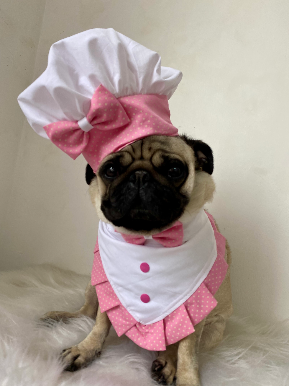 Miniatura: Kit Chefe Gourmet Pet