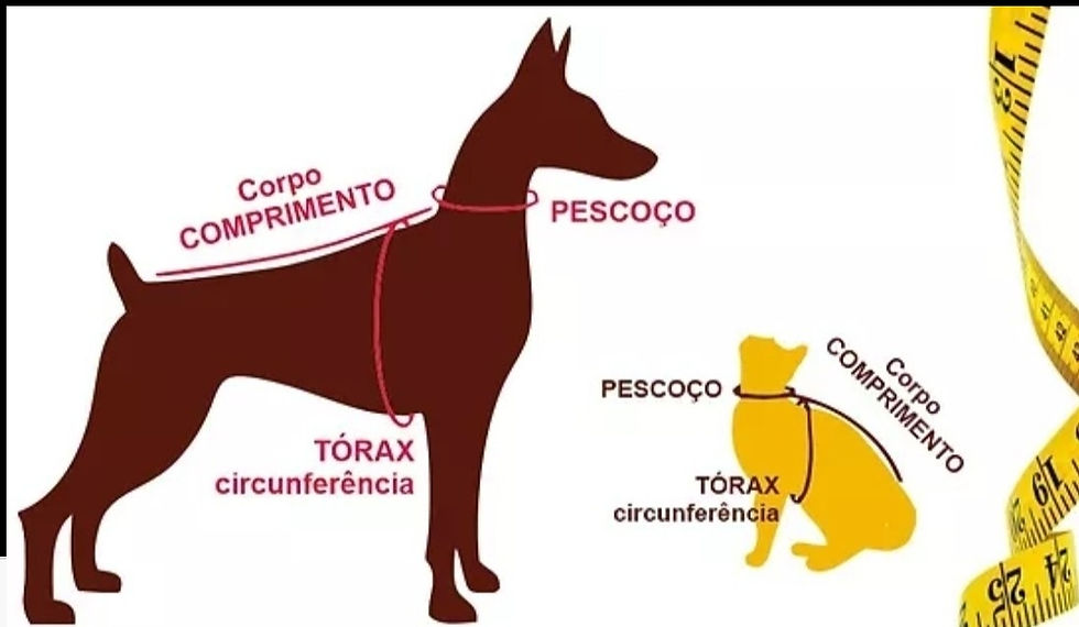 Miniatura: Camisa Palhacinho Listras
