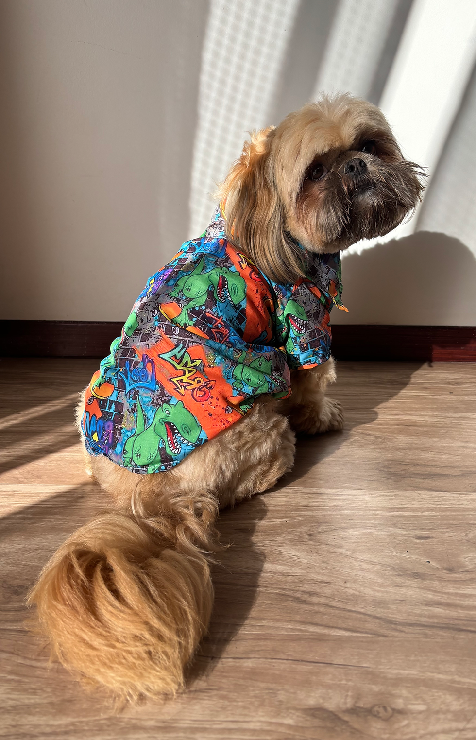 Miniatura: Camisa jurássica 