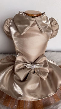 Miniatura: Vestido Gala Gold