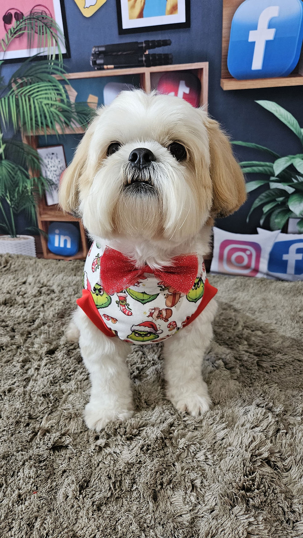 Miniatura: Camiseta regata Grinch + gravatinha
