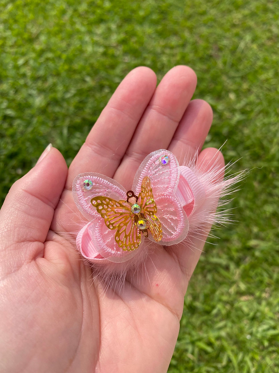 Miniatura: Borboleta delicadinha