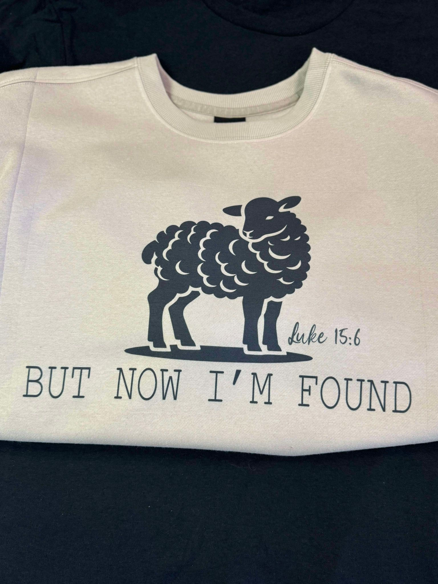 Luke 15:6 Sweatshirt