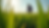 Eye-level view of a farmer inspecting crops in a lush green field