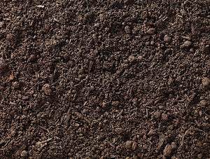 ScreenedTopsoil.jpg