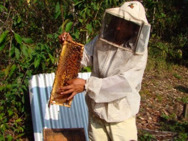 WCCN Supports Beekeeping Project in Mexico to Mitigate Adverse Impact of Climate Change