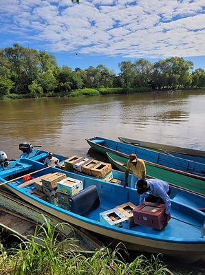 WhatsApp Image 2026-02-10 at 23.58.58.jpeg