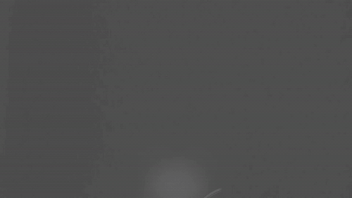 VIDDYOZE-Drone Delivery Intro.gif