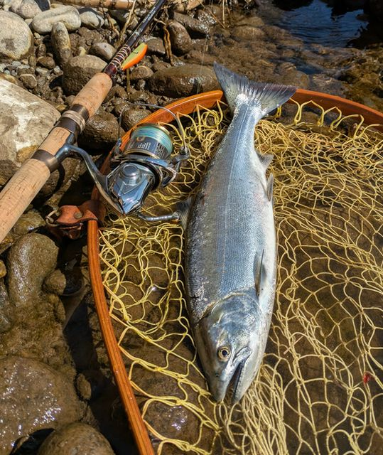 愛知 堀 恵治さん