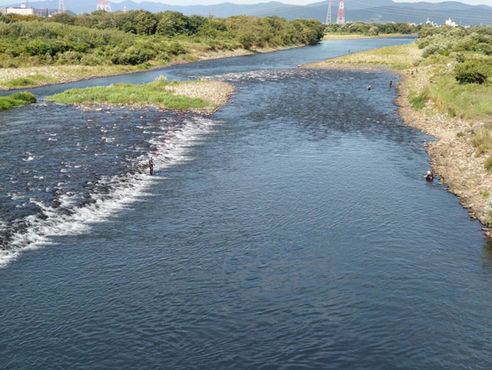 河川の状況