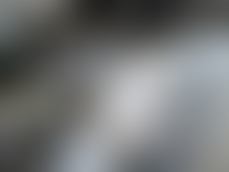 サクラマス釣果情報