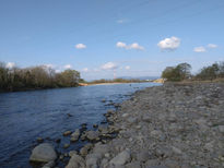 河川の状況