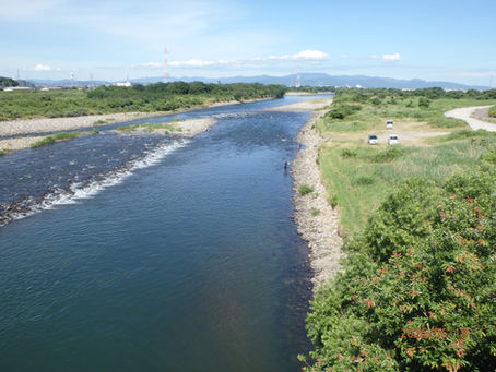 河川の状況