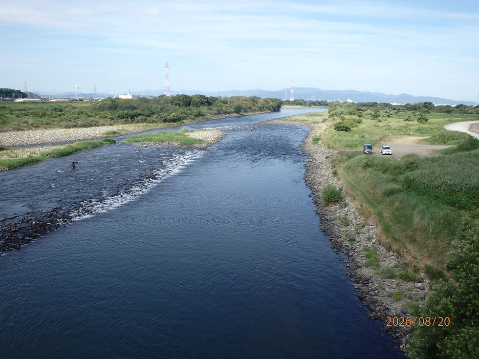 河川の状況