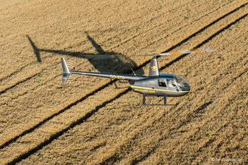 Robinson R44 van STB-Copter laag boven de velden bij laaghangende zon tijdens een air-to-air fotoshoot.