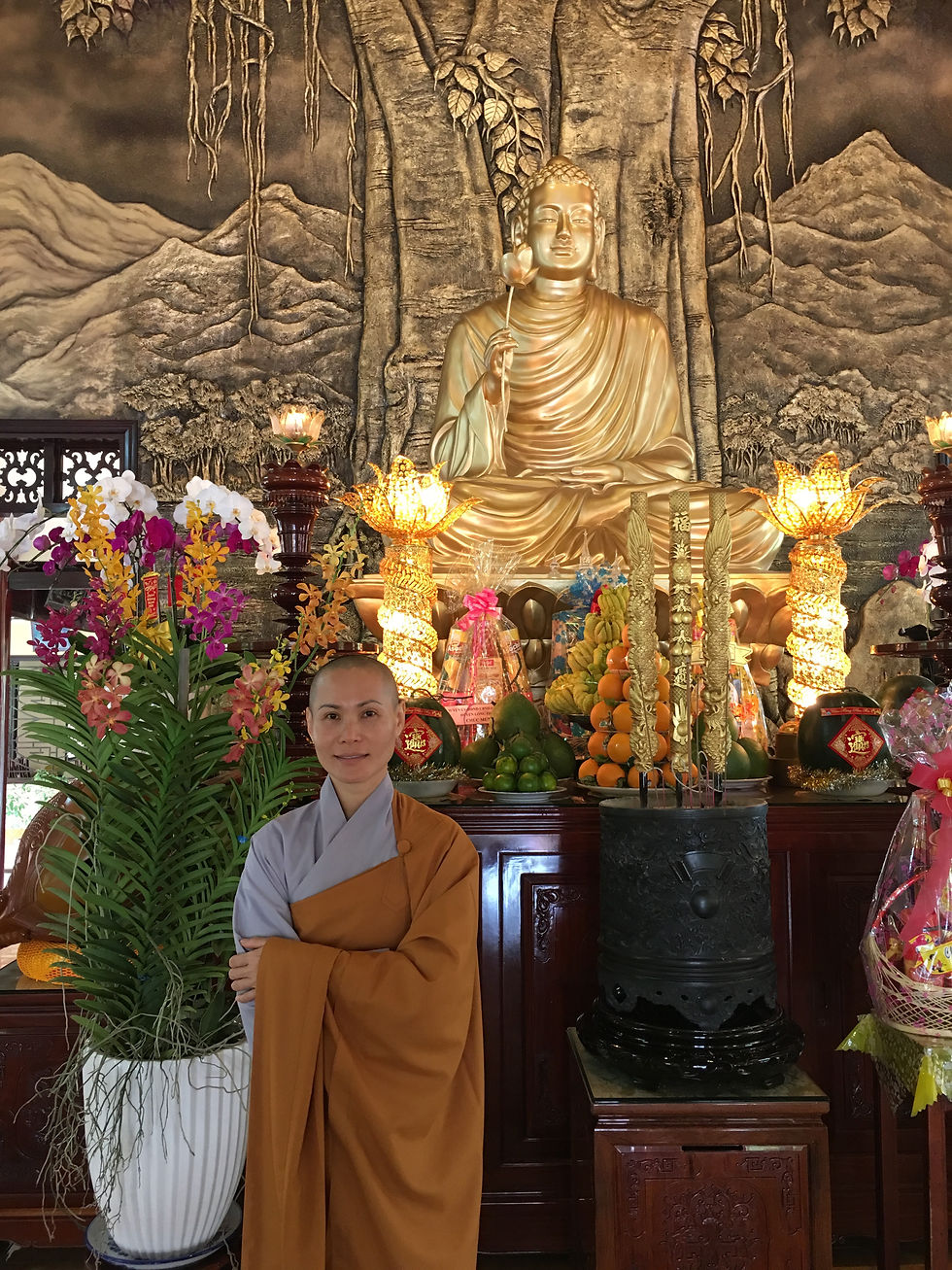 Grand Opening Meditation