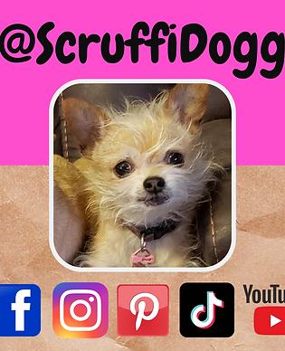 Scruffi Dogg (5).png