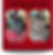 Update TSHL Website (5).png