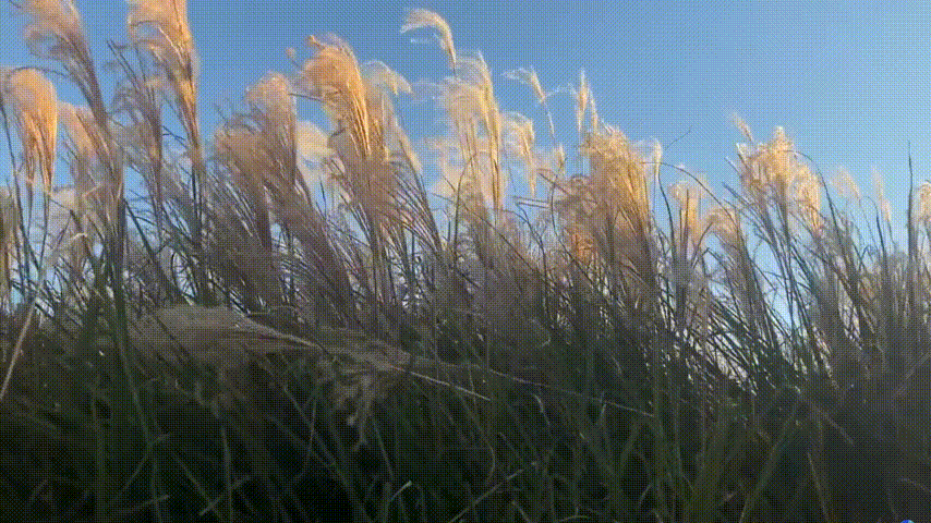 atwbbgif (1).gif