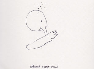 OdoratCapricieux,drawing, art, marikosaito