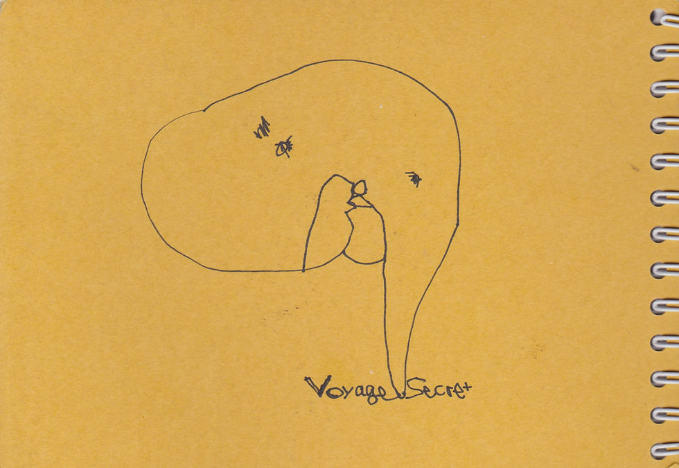 Voyage Secret