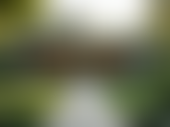 Maximize Your Real Estate Marketing with Virtual Assistance