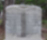 Nelson and Easter Miller Graves