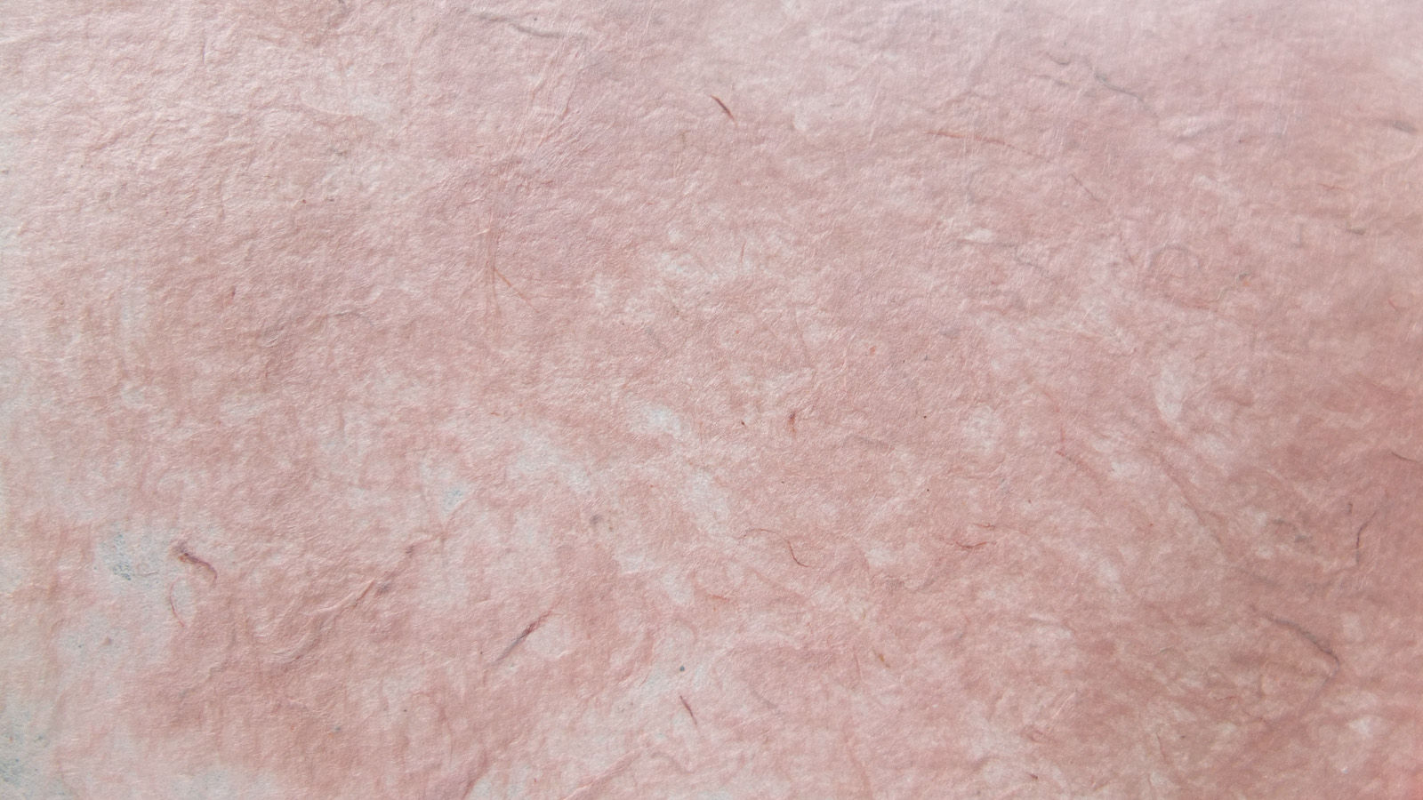 Dướng Paper - Cẩm hồng