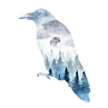 Raven_Art_2_edited.png