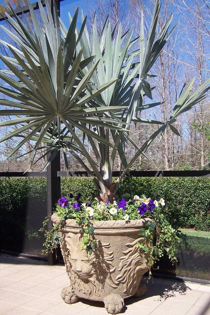 JXC Landscaping Pots / Fountains