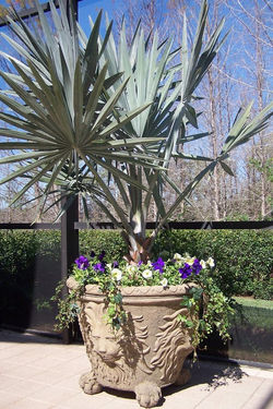 JXC Landscaping Pots / Fountains