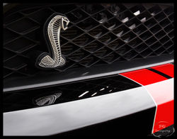 S is for Snake