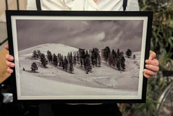 Yellowstone