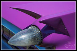 Purple Tail Fins