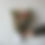 Thumbnail: Single Wrapped Bouquet