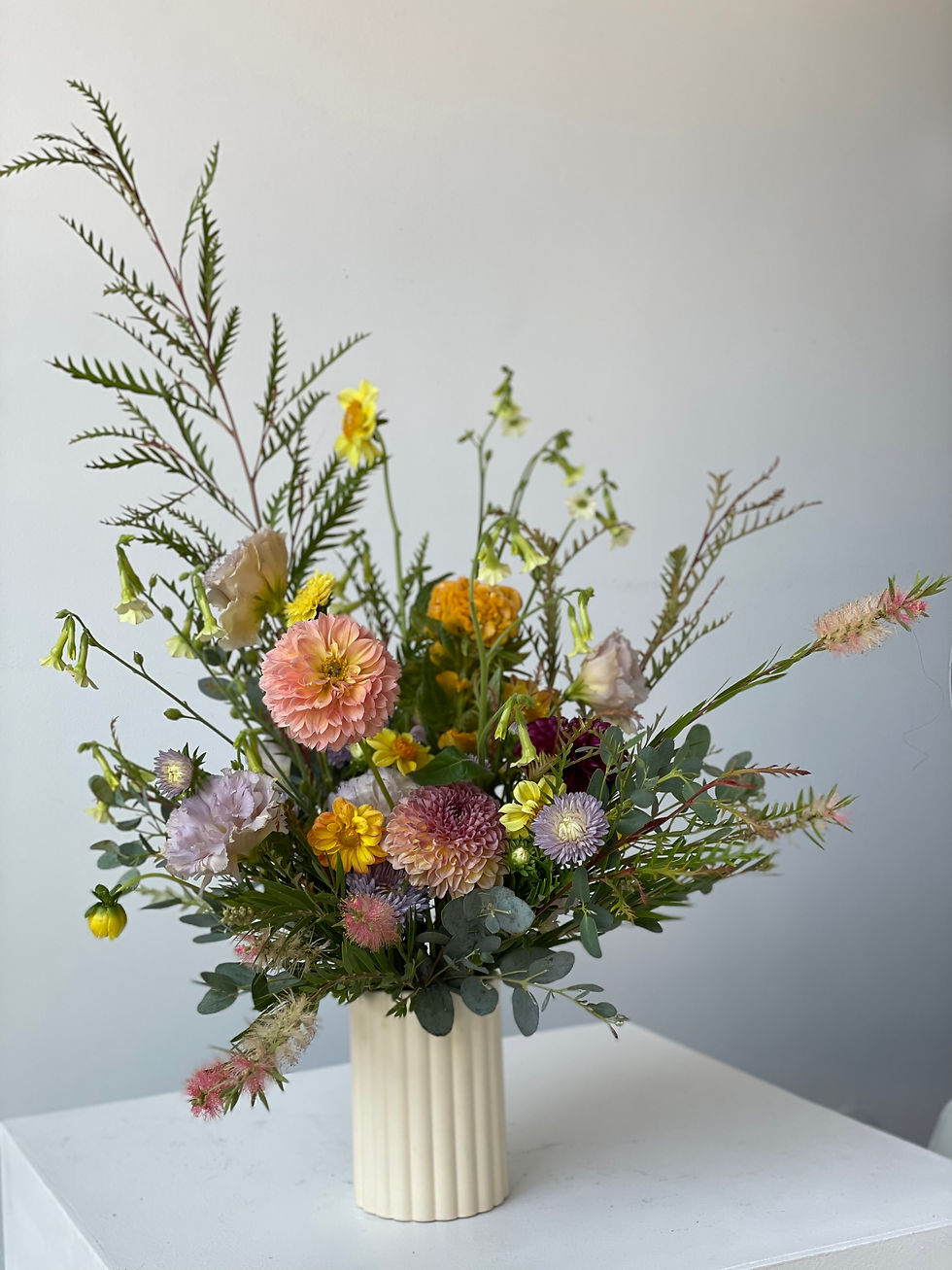 Scottie The Petal Coop