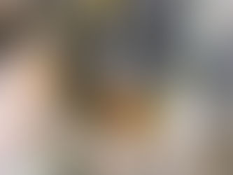 Lichen in Red Rock Canyon