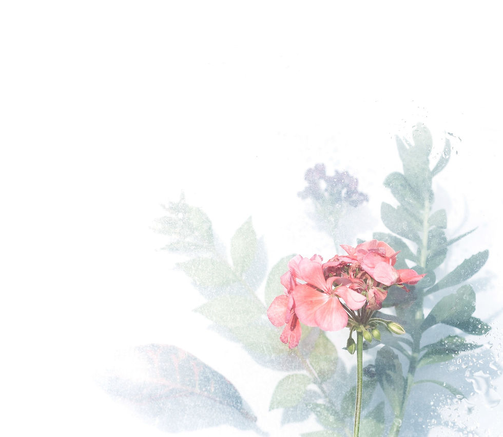 關心自在