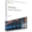 windows-server-2025-Standard-lizenzstar_600x600.jpg