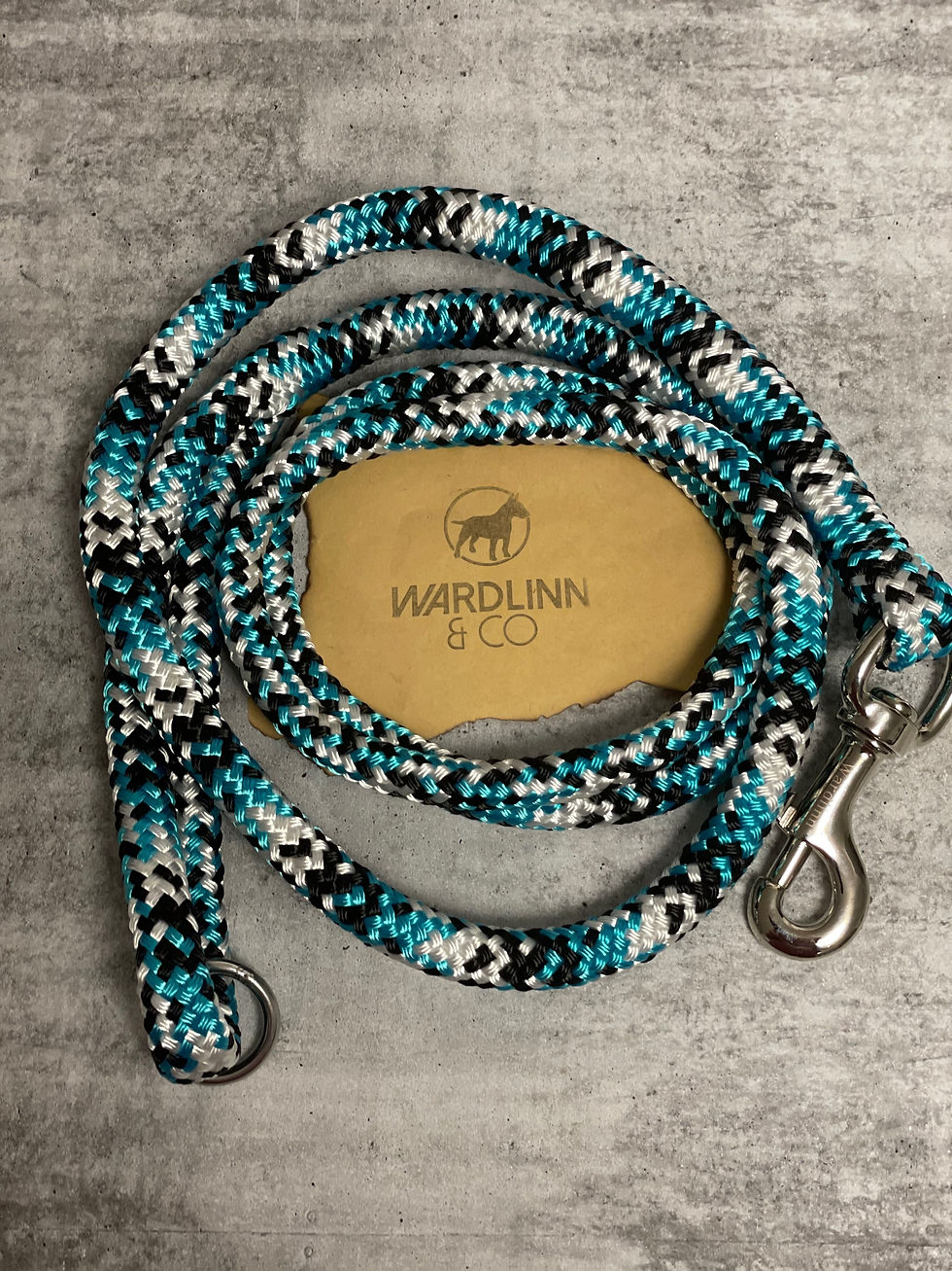 Black/White/Aqua Dog Lead