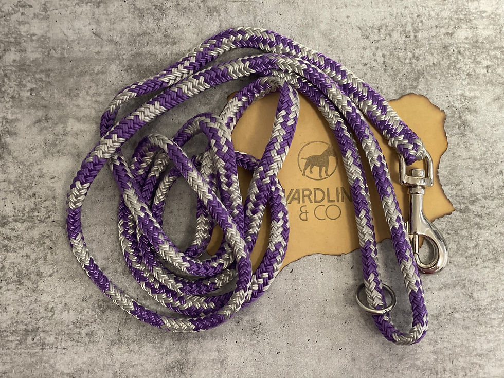 Thumbnail: 8mm Dog Lead - Hollow Braid  