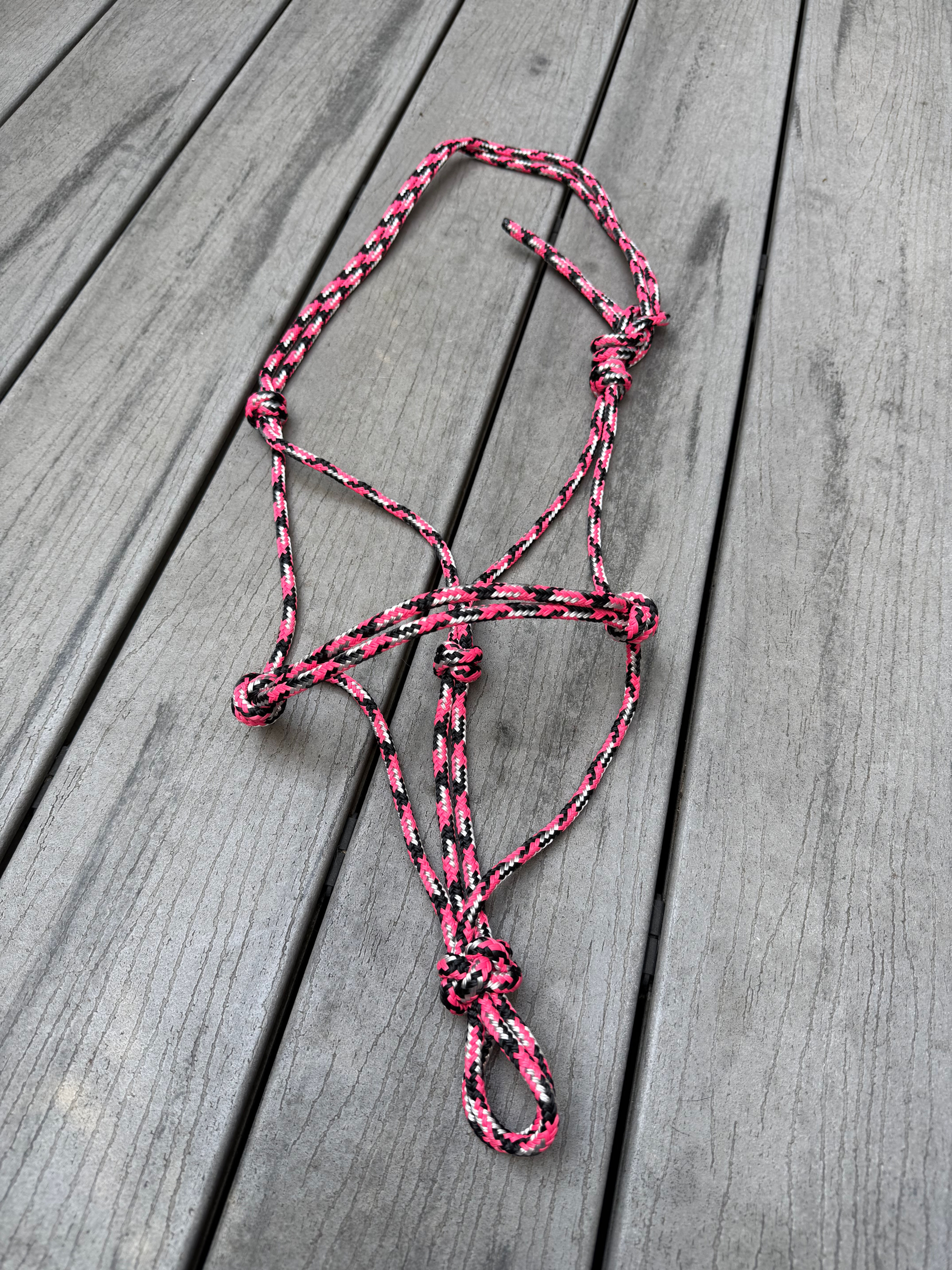 6mm Horse Halter 